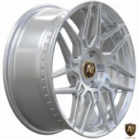 Aegis Forge Prodesign Aurora 029 Gloss Silver 45 Degree Tilt